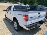 Used 2014 Ford F150 XLT w/ Equipment Group 302A Luxury image 5