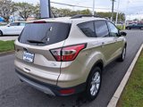 Used 2017 Ford Escape SE w/ SE Leather Comfort Package image 5