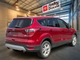 Used 2017 Ford Escape SE w/ SE Cold Weather Package image 4