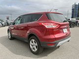 Used 2014 Ford Escape SE image 3