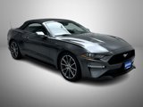 Used 2019 Ford Mustang Premium w/ Equipment Group 201A image 3