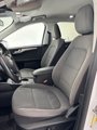 Used 2021 Ford Escape SE image 4