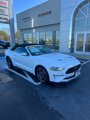 Used 2022 Ford Mustang Premium image 5