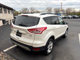 Used 2016 Ford Escape SE w/ Equipment Group 201A image 3
