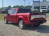 Used 2015 Ford F150 Platinum w/ Equipment Group 701A Luxury image 5