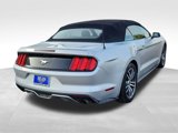 Used 2017 Ford Mustang Premium image 2