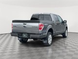 Used 2013 Ford F150 Platinum image 3
