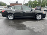 Used 2011 Honda Accord EX-L image 6