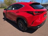 New 2025 Lexus NX 350 AWD w/ Premium Package image 4