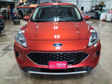 Used 2020 Ford Escape SE image 3