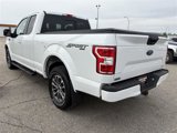 Used 2019 Ford F150 XLT w/ Equipment Group 302A Luxury image 4