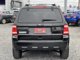 Used 2011 Ford Escape XLT w/ 202A Rapid Spec Order Code image 5