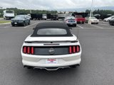 Used 2017 Ford Mustang GT Premium w/ Equipment Group 401A image 4