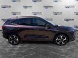 Used 2023 Ford Escape ST-Line Elite image 6