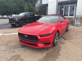 New 2025 Ford Mustang Premium image 3