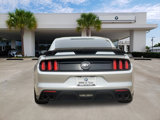Used 2016 Ford Mustang GT Premium w/ Equipment Group 401A image 5