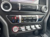 Used 2021 Ford Mustang Premium image 5
