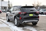 Used 2025 Ford Escape Active w/ Tech Pack #1 image 5