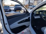 New 2025 Hyundai Elantra Limited image 6