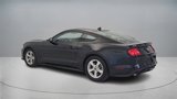 Used 2021 Ford Mustang Coupe image 5