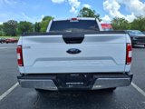 Used 2019 Ford F150 XLT w/ Equipment Group 301A Mid image 4