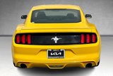 Used 2015 Ford Mustang Coupe w/ Equipment Group 051A image 5