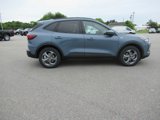 New 2025 Ford Escape ST-Line Elite image 4