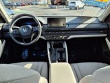 Certified 2024 Honda Accord EX image 6