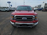 Used 2021 Ford F150 XLT w/ Equipment Group 302A High image 2