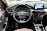 Used 2022 Ford Escape SE w/ Convenience Package image 4