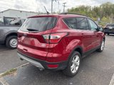 Used 2018 Ford Escape SEL w/ Ford Safe & Smart Package image 3