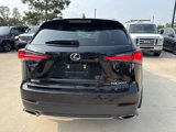 Used 2019 Lexus NX 300 F Sport image 5