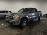 Used 2011 Ford F150 XLT w/ XLT Chrome Pkg image 2