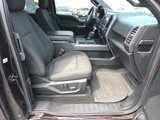 Used 2019 Ford F150 XLT w/ Equipment Group 302A Luxury image 5