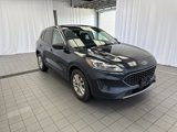 Used 2022 Ford Escape SE w/ Convenience Package image 3