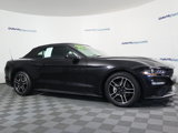 Used 2023 Ford Mustang Premium image 4