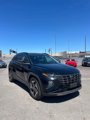 Used 2022 Hyundai Tucson Limited image 2