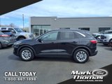 Used 2022 Ford Escape SE w/ Convenience Package image 2