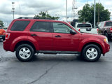 Used 2011 Ford Escape XLT image 4