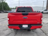 Used 2019 Ford F150 XL w/ Equipment Group 101A Mid image 5