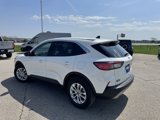 Used 2022 Ford Escape SE w/ Convenience Package image 6