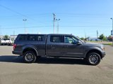 Used 2019 Ford F150 XLT w/ Equipment Group 302A Luxury image 5