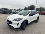 Certified 2022 Ford Escape SE w/ SE Sport Appearance Package image 3