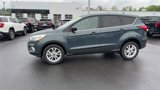Used 2019 Ford Escape SE image 5