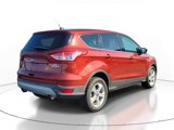 Used 2014 Ford Escape SE image 4