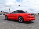 Used 2015 Ford Mustang Convertible w/ Equipment Group 051A image 6