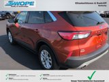 Used 2020 Ford Escape SE image 5