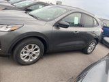 New 2025 Ford Escape Active w/ Tech Pack #1 image 3