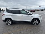 Used 2017 Ford Escape SE w/ Equipment Group 201A image 4