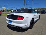 Certified 2017 Ford Mustang Premium w/ Ecoboost Performance Package image 5